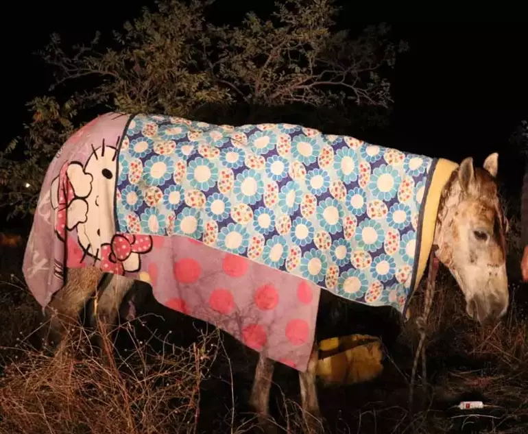 Kayseri de gece yarısı yangın! Fabrika alevlere teslim oldu - 4