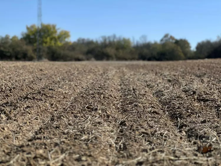 Küresel ısınma buğday ekim zamanını kaydırdı: Geç kalanlar riskte - 2