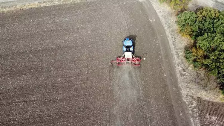 Küresel ısınma buğday ekim zamanını kaydırdı: Geç kalanlar riskte - 4