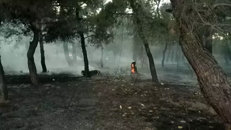 Edirne de çıkan orman yangını güçlükle kontrol altına alındı - 4