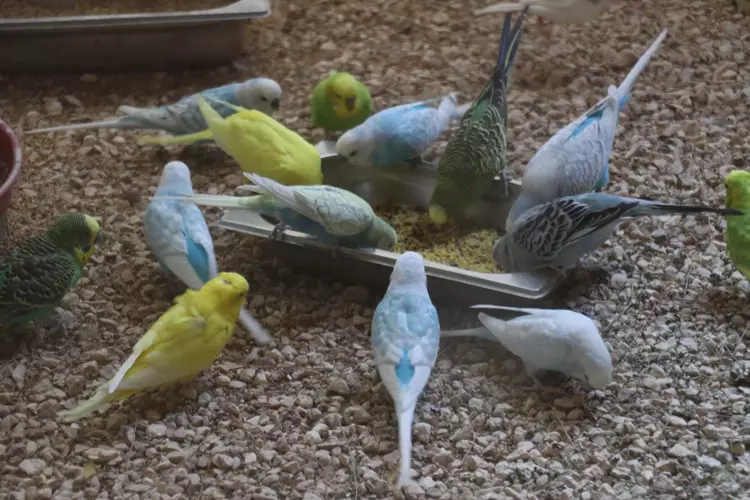 Gaziantep Hayvanat Bahçesi kışa hazırlıklarını tamamladı - 3