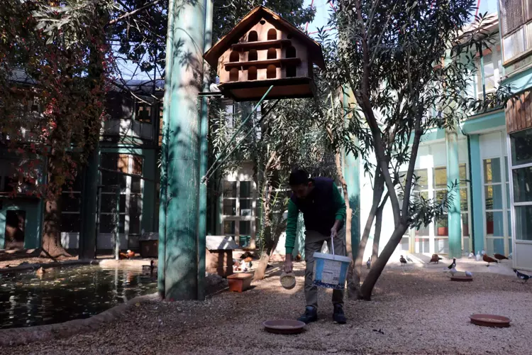 Gaziantep Hayvanat Bahçesi kışa hazırlıklarını tamamladı - 1