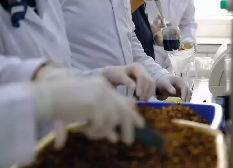 Köpek mamalarına eklenecek nar kabuğu hastalıklardan koruyacak - 5