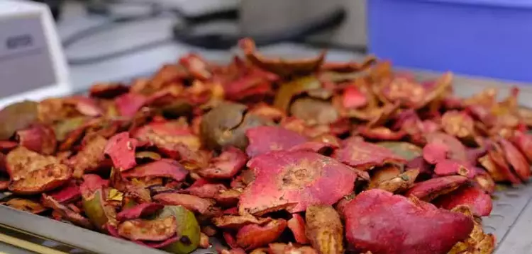 Köpek mamalarına eklenecek nar kabuğu hastalıklardan koruyacak - 4