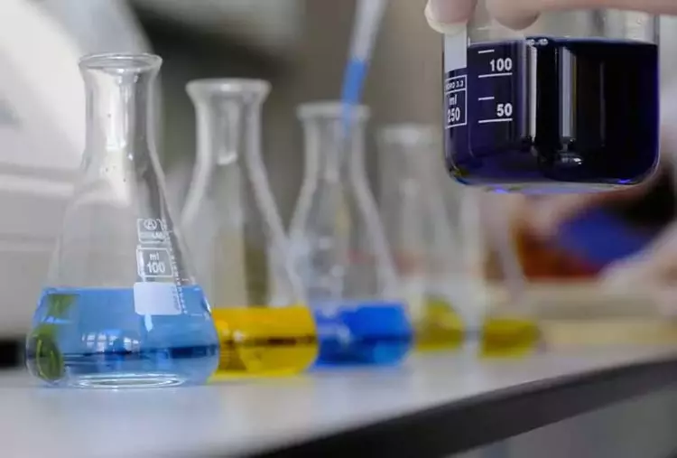 Köpek mamalarına eklenecek nar kabuğu hastalıklardan koruyacak - 3