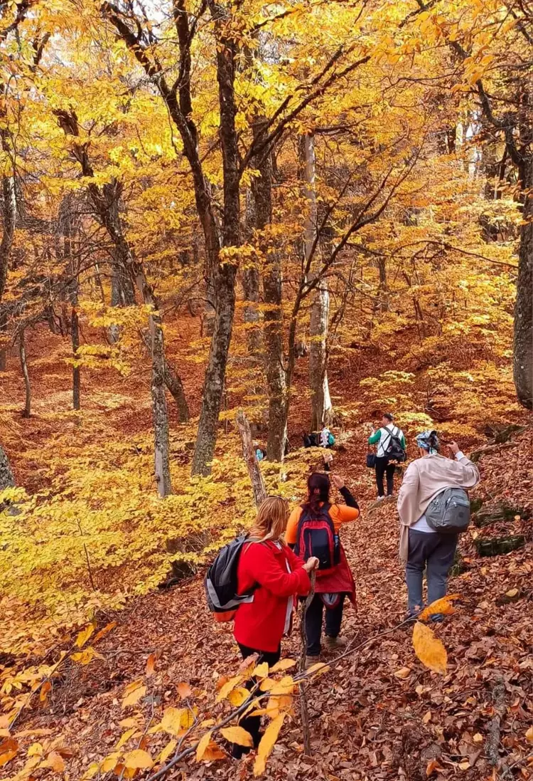 Amanos Dağları'nda Sonbahar güzelliği: Doğaseverler büyülendi - 2