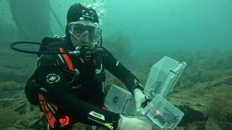 Çanakkale'de tarihi batık, deniz canlılarına umut oldu - 2