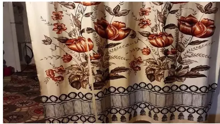 Eski perdeler araba fiyatına satılıyor: Gerçek değer ne - 5