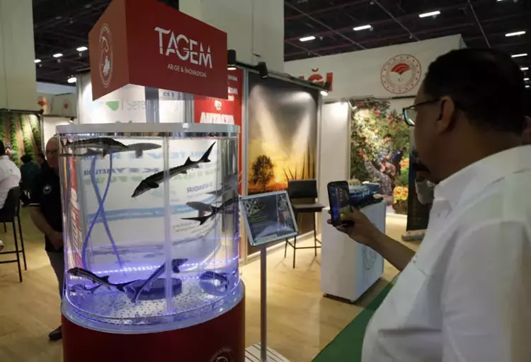 Çipli balık takibi başladı: Karadeniz'de 20 bin yavru - 5