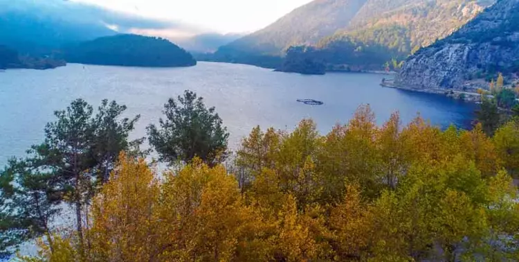 Isparta'nın Eğirdir ilçesindeki eşsiz Kasnak Meşesi Ormanı - 3