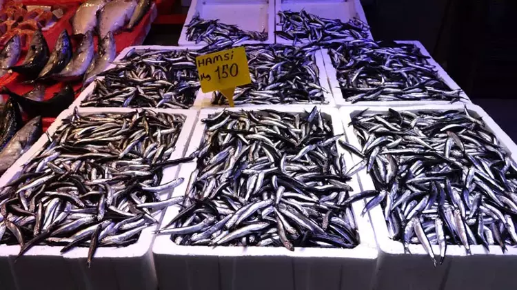 Karadeniz'de hamsi bolluğu: fiyatlar sevindiriyor - 6