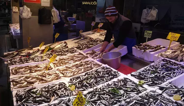 Karadeniz'de hamsi bolluğu: fiyatlar sevindiriyor - 2