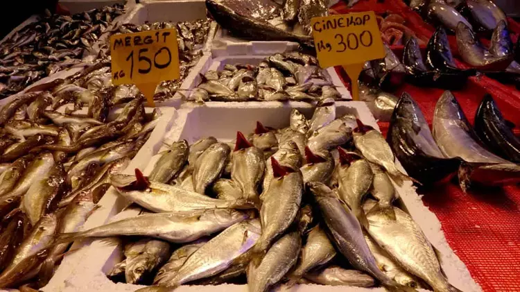 Karadeniz'de hamsi bolluğu: fiyatlar sevindiriyor - 1