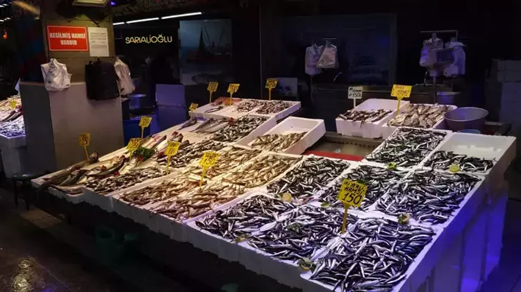Karadeniz'de hamsi bolluğu: fiyatlar sevindiriyor - 3