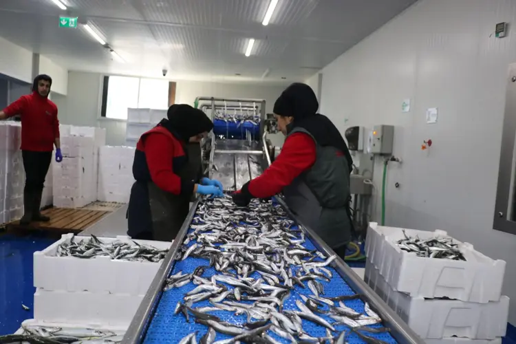 Fırtına balık fiyatlarını vurdu: İzmir'de tezgahlarda azalma - 5