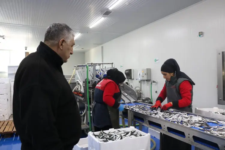 Fırtına balık fiyatlarını vurdu: İzmir'de tezgahlarda azalma - 1