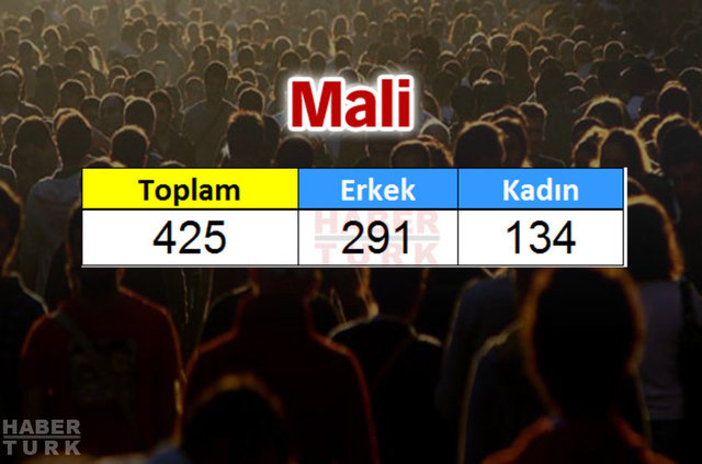Türkiye'de en çok hangi ülkeden insan yaşıyor? - 594