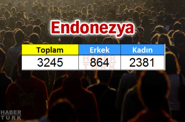 Türkiye'de en çok hangi ülkeden insan yaşıyor? - 782