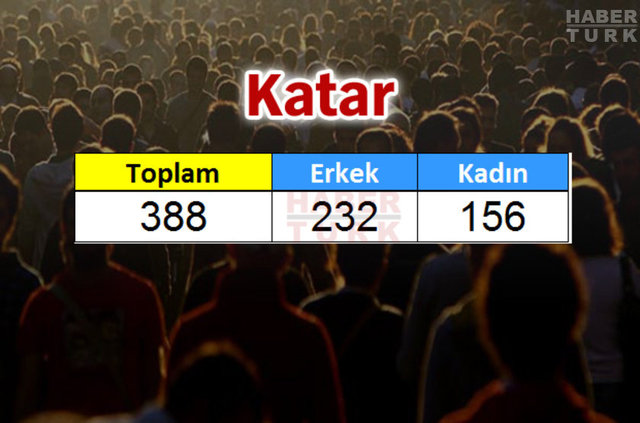 Türkiye'de en çok hangi ülkeden insan yaşıyor? - 704