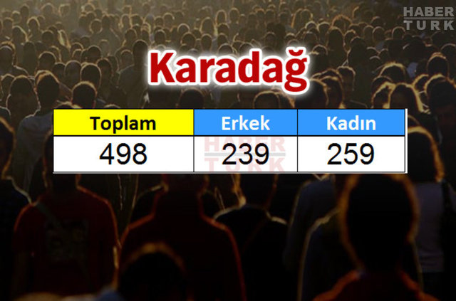 Türkiye'de en çok hangi ülkeden insan yaşıyor? - 636