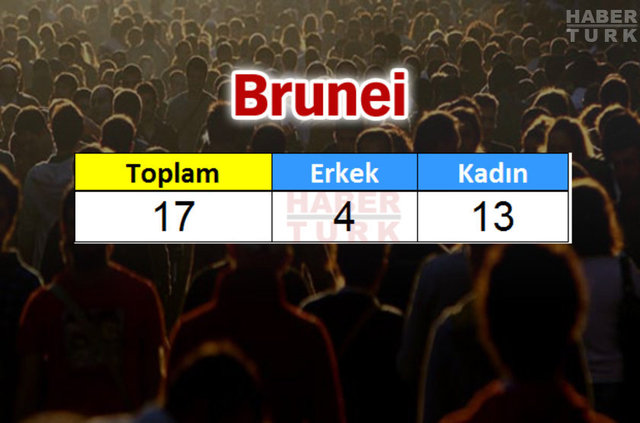 Türkiye'de en çok hangi ülkeden insan yaşıyor? - 556