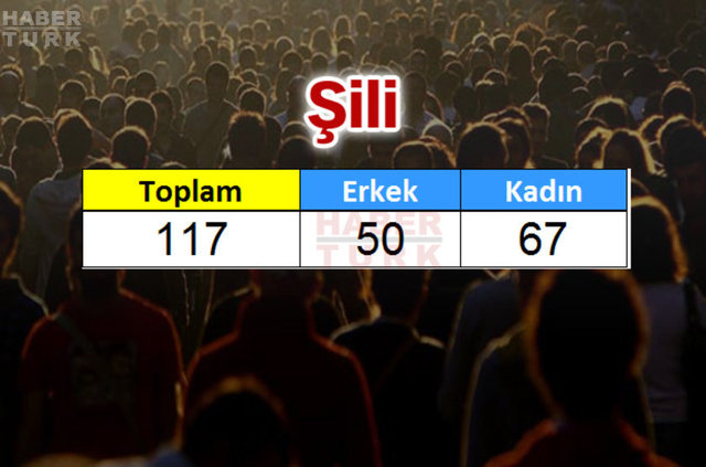 Türkiye'de en çok hangi ülkeden insan yaşıyor? - 537