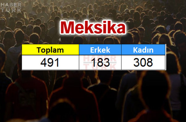 Türkiye'de en çok hangi ülkeden insan yaşıyor? - 539