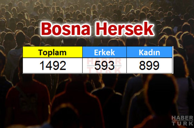 Türkiye'de en çok hangi ülkeden insan yaşıyor? - 507