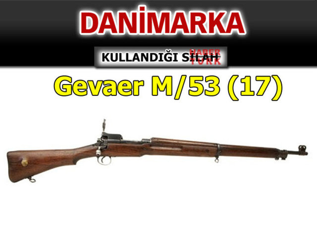 Hangi ülke hangi silahı  kullanıyor? - 904