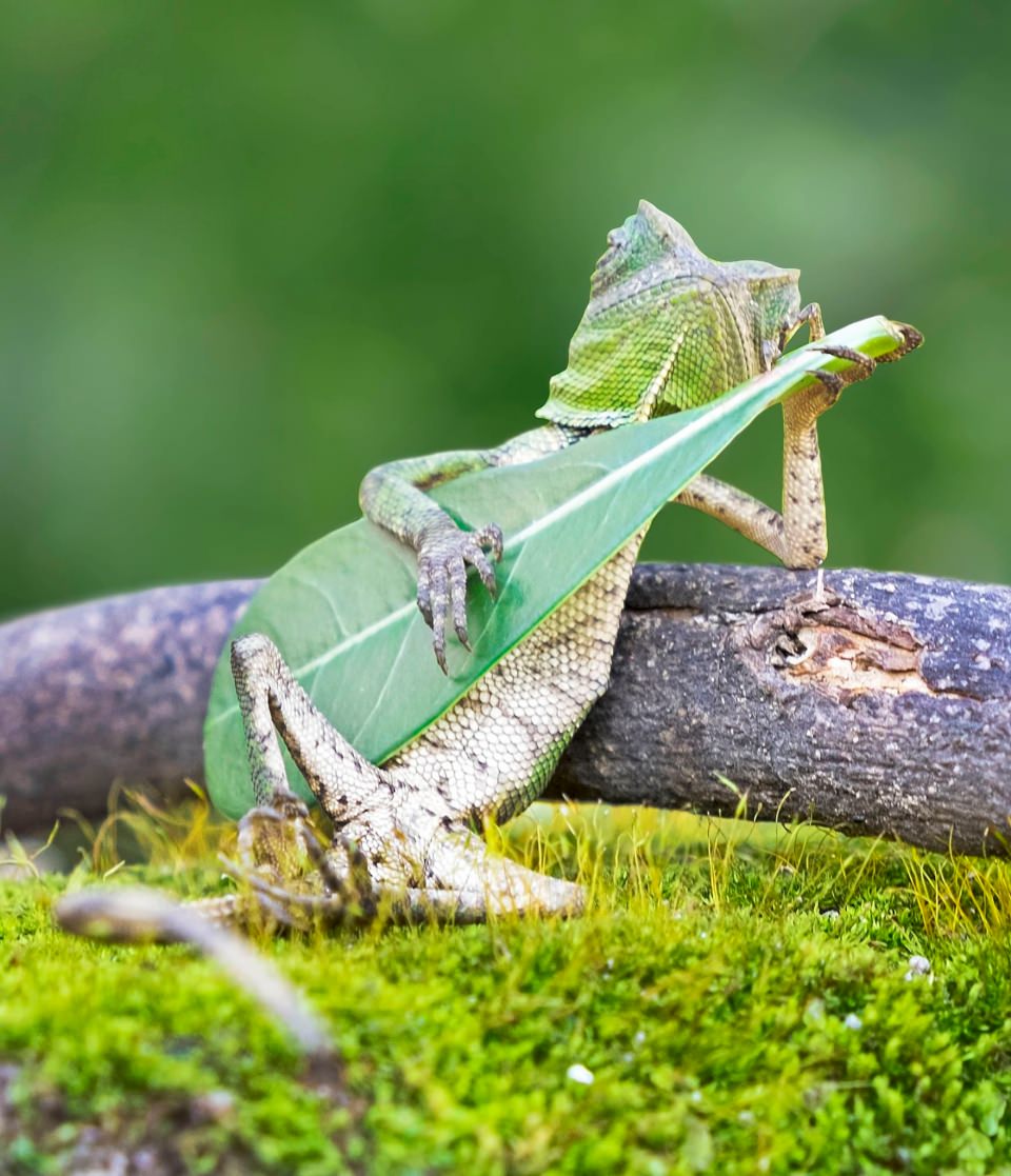 Efektsiz birbirinden muhteşem fotoğraflar - 697