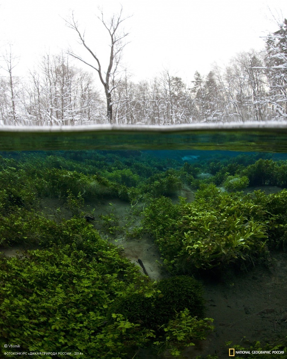 Efektsiz birbirinden muhteşem fotoğraflar - 847