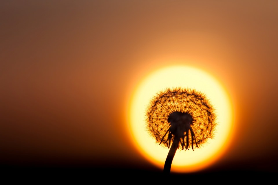 Efektsiz birbirinden muhteşem fotoğraflar - 536