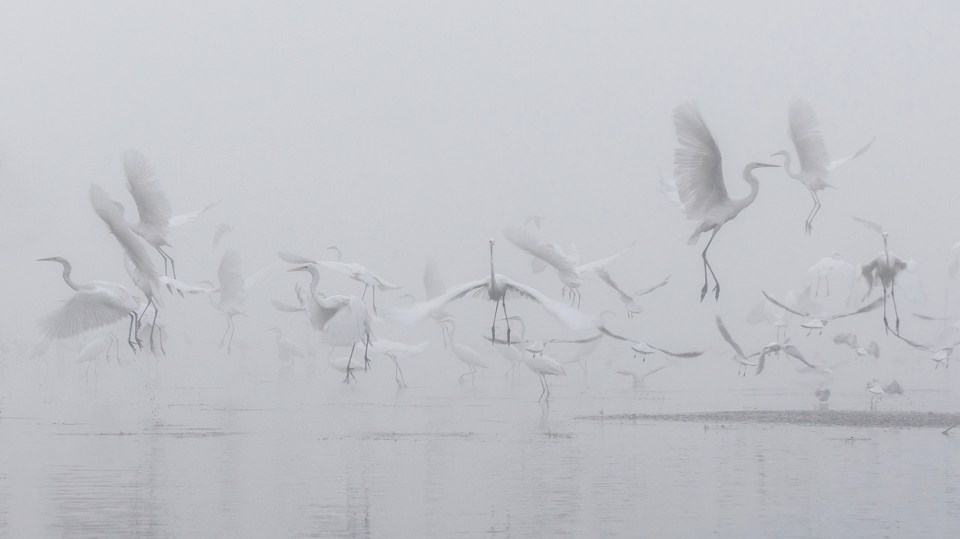 Efektsiz birbirinden muhteşem fotoğraflar - 697