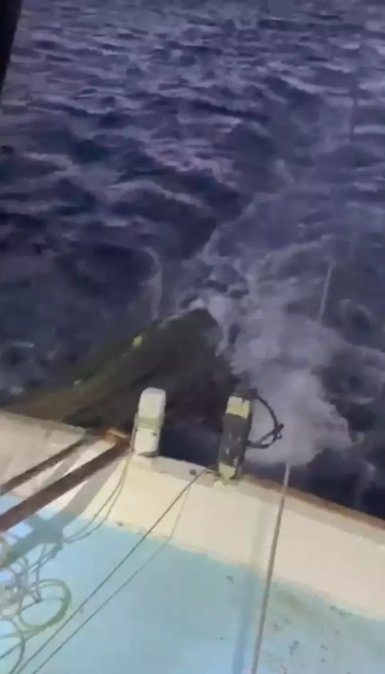 Marmara Denizi'nde Müsilaj krizi: Balıkçılık faaliyetleri durma noktasında - 93426