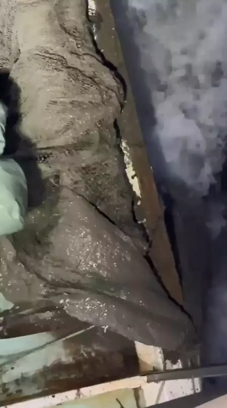 Marmara Denizi'nde Müsilaj krizi: Balıkçılık faaliyetleri durma noktasında - 93427