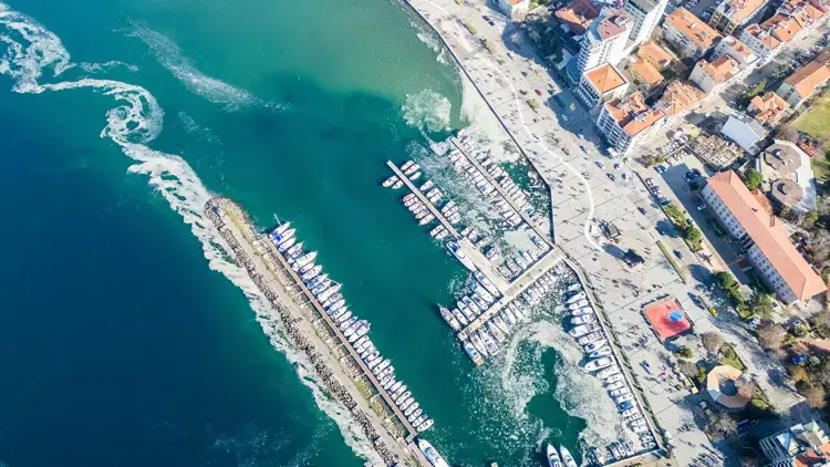 Marmara Denizi'nde Müsilaj krizi: Balıkçılık faaliyetleri durma noktasında - 93429