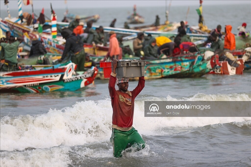 Batı Afrika'da balıkçılık: Zengin deniz kaynaklarıyla geçim kaynağı - 6