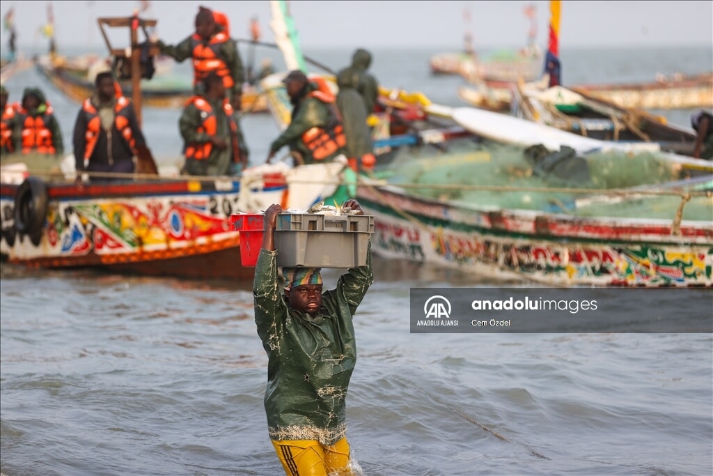 Batı Afrika'da balıkçılık: Zengin deniz kaynaklarıyla geçim kaynağı - 7