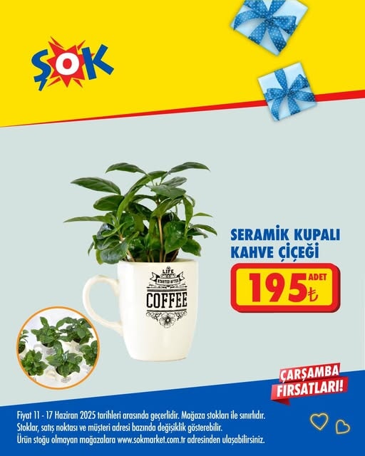 Şok'tan yeni haftaya yeni indirimler! 11- 17 Haziran aktüel - 36