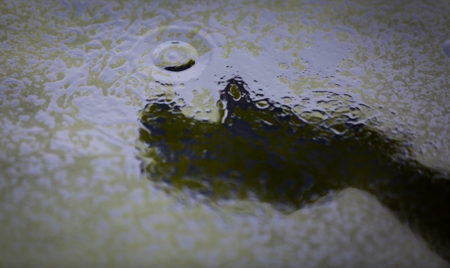 'Ebru'yu denize taşıdı - 722