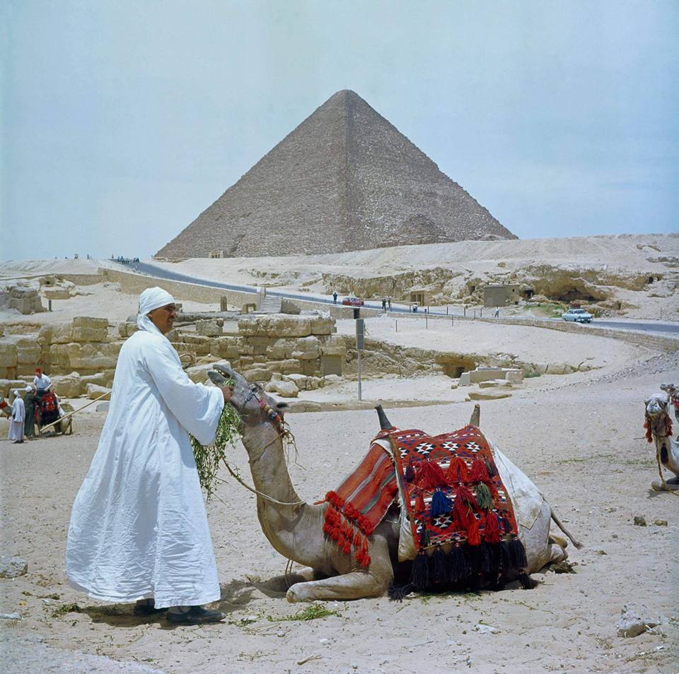 1980'lerde Mısır - 696