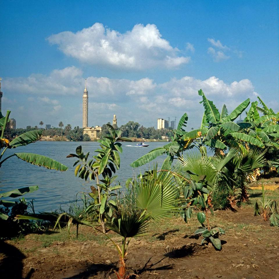 1980'lerde Mısır - 583