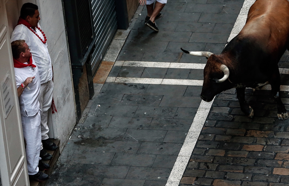 San Fermin Festivali'nde ikinci koşu tamamlandı - 855