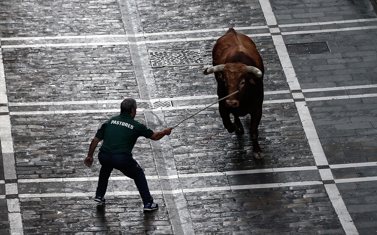 San Fermin Festivali'nde ikinci koşu tamamlandı - 617