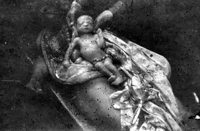 Srebrenitsa katliamının 21. yıldönümü - 9