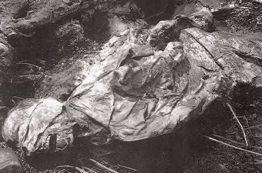 Srebrenitsa katliamının 21. yıldönümü - 1