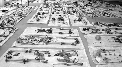 Srebrenitsa katliamının 21. yıldönümü - 5