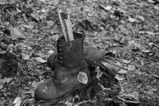 Srebrenitsa katliamının 21. yıldönümü - 7