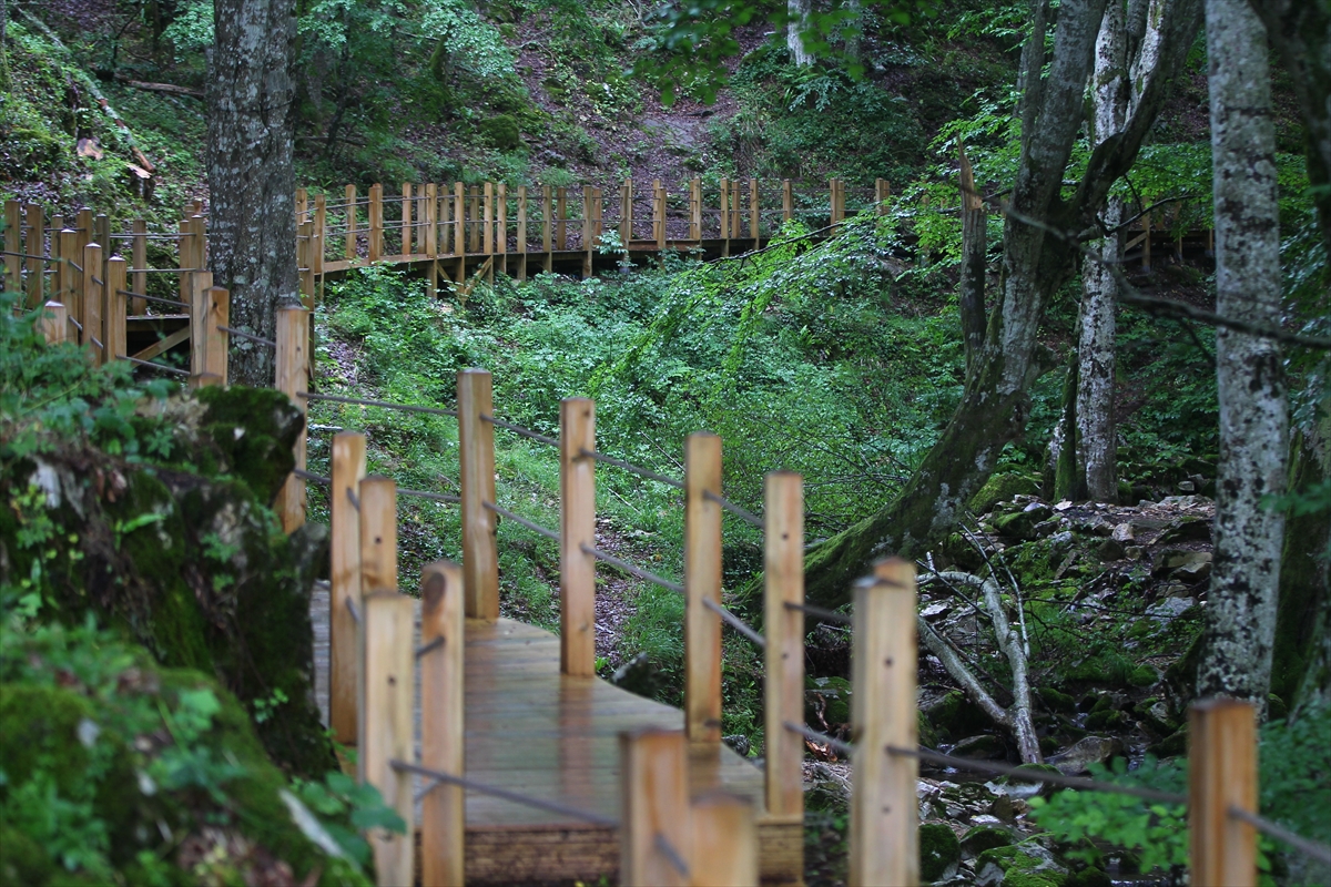 Yarasaların mağarası Dupnisa artık aydınlık - 535