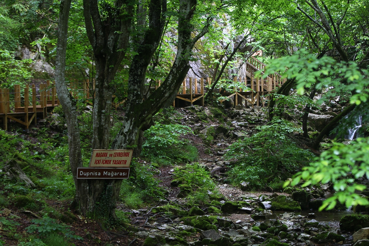 Yarasaların mağarası Dupnisa artık aydınlık - 596